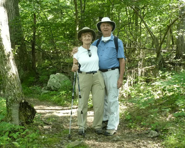 Board members in the forest hiking